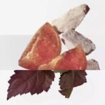 Elixir des Merveilles Eau de parfum 100ML - Image 2